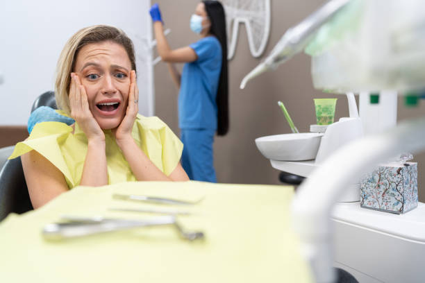 Best Knocked-Out Tooth (Avulsed Tooth) Treatment in Hudson, FL